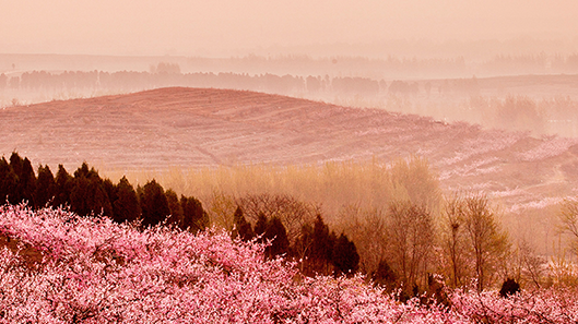 k8����(�й�)����Ӯ�ҡ�һ������